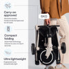 Wonder Plus Stroller-Trike