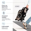 Wonder Max Stroller-Trike