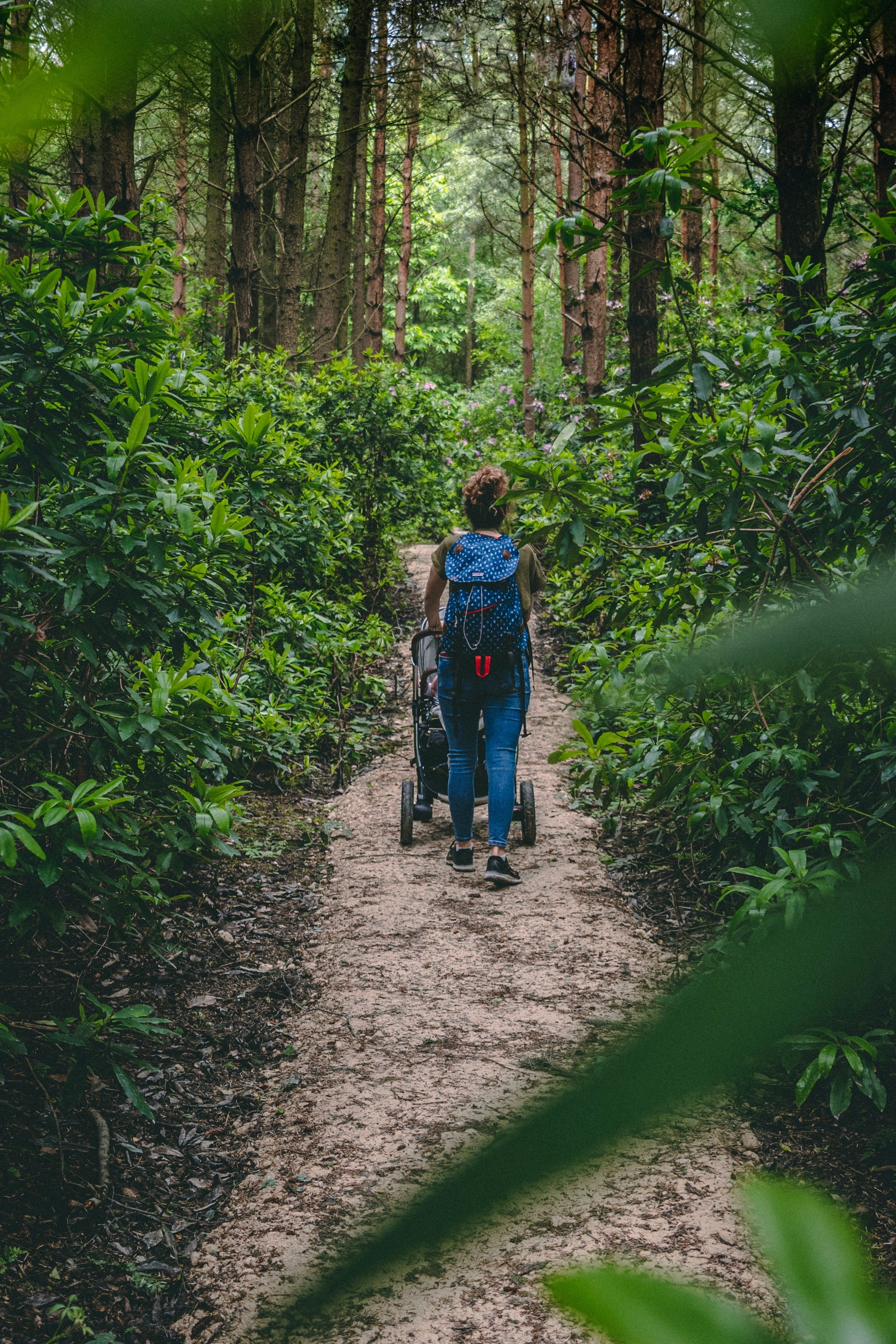 How to Choose a Waterproof, Windproof Cover for Wet, Blustery Family Walks