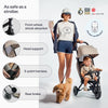 Wonder Max Stroller-Trike