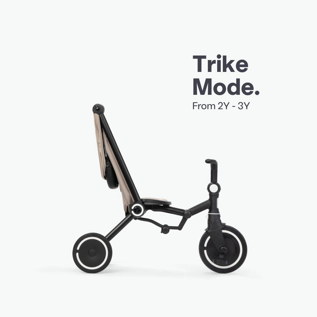 Wonder Max Trike