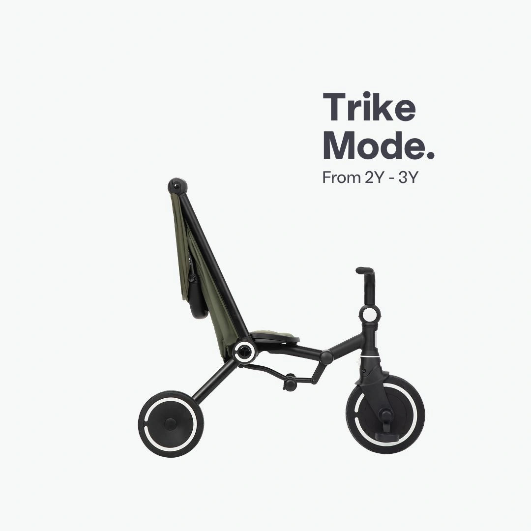 Wonder Max Trike
