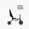 Wonder Max Trike